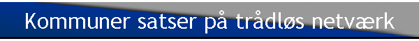 Kommuner satser p trdls netvrk