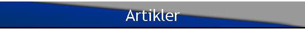 Artikler